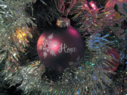 The Hope Exhibit &ndash; Wheaton, IL